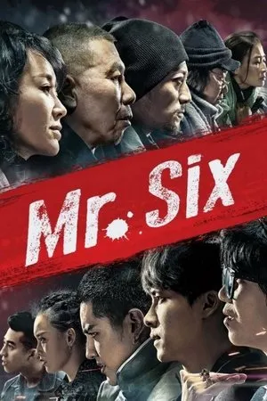 Affiche du film Mr Six