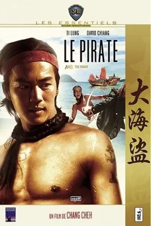 Affiche du film Le Pirate