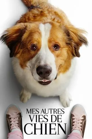 Affiche du film Mes Autres Vies de Chien