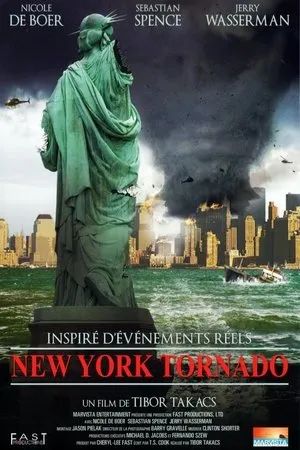 Affiche du film Tornades sur New York