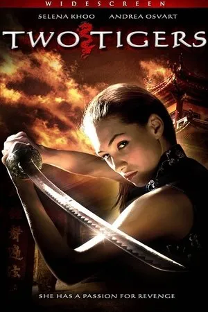 Affiche du film Two Tigers