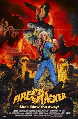 Affiche du film Attaque à mains nues