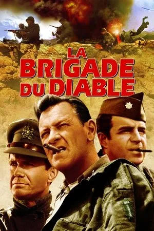 Affiche du film La Brigade du diable