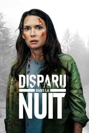 Affiche du film Disparu dans la nuit