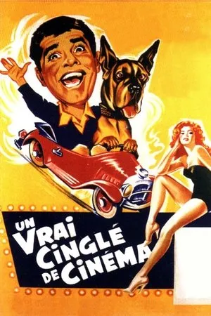 Affiche du film Un vrai cinglé de cinéma