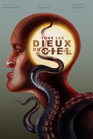 Affiche du film Tous les dieux du ciel