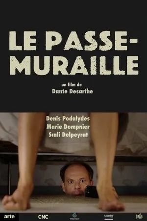 Affiche du film Le passe-muraille