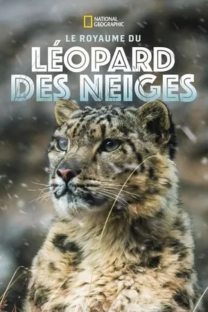 Affiche du film Le Royaume du léopard des neiges