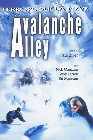 Affiche du film Avalanche Alley