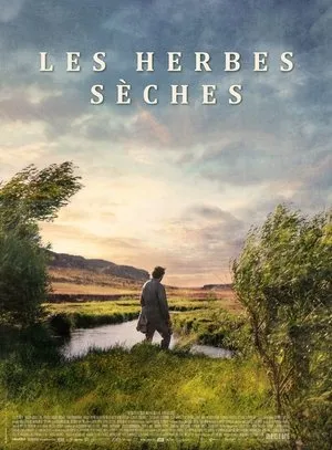 Affiche du film Les Herbes sèches