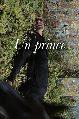 Affiche du film Un prince