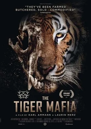 Affiche du film The Tiger Mafia