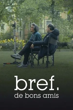 Affiche du film Bref. De bons amis