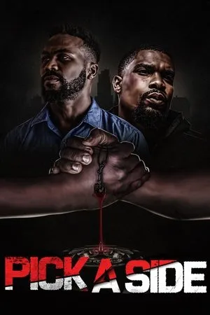 Affiche du film Pick A Side