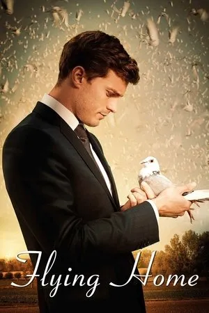 Affiche du film Flying Love