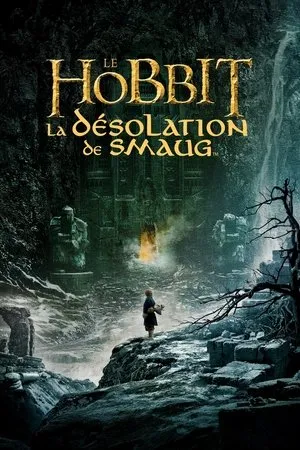 Affiche du film Le Hobbit : La Désolation de Smaug