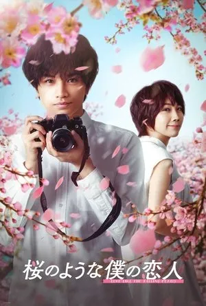 Affiche du film Love Like the Falling Petals