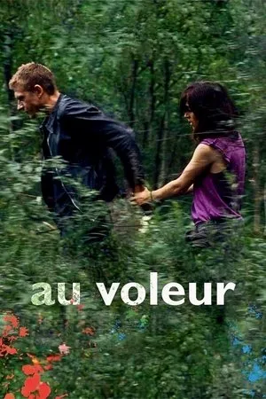 Affiche du film Au voleur
