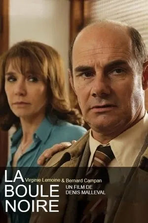Affiche du film La boule noire