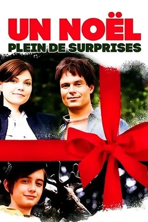 Affiche du film Un noël plein de surprises