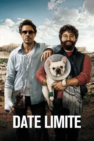 Affiche du film Date Limite