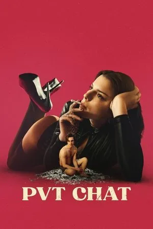 Affiche du film PVT Chat