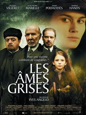 Affiche du film Les Âmes grises