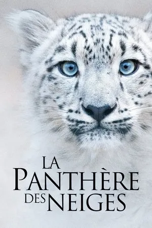 Affiche du film La Panthère des neiges