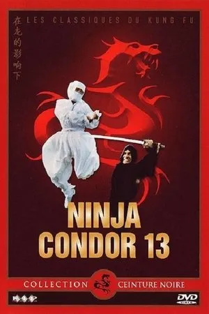 Affiche du film Ninja Condor 13