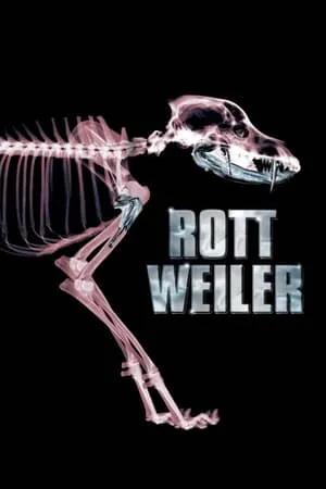 Affiche du film Rottweiler