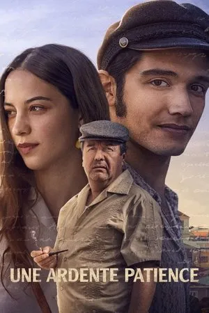 Affiche du film Une ardente patience