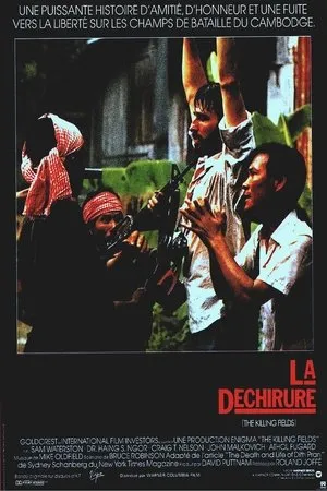 Affiche du film La Déchirure