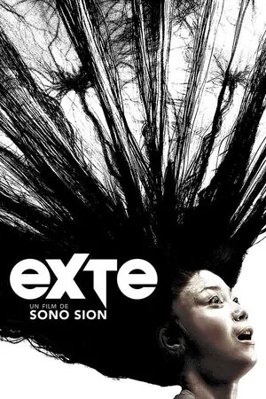 Affiche du film Exte