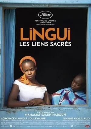 Affiche du film Lingui : les liens sacrés