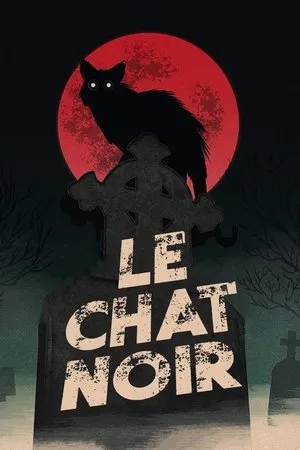 Affiche du film Le Chat noir