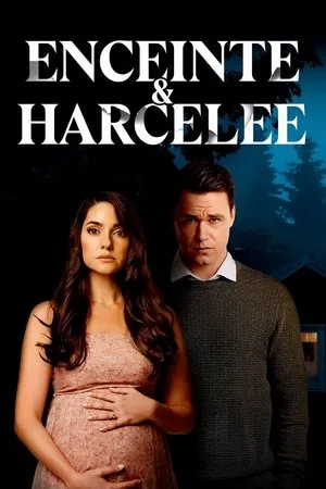 Affiche du film Enceinte et Harcelée
