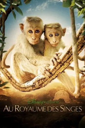 Affiche du film Au Royaume des Singes
