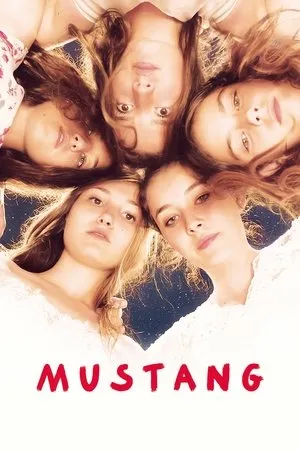 Affiche du film Mustang