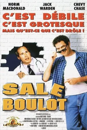 Affiche du film Sale Boulot