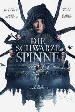Affiche du film The Black Spider