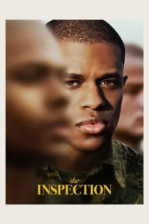 Affiche du film The Inspection