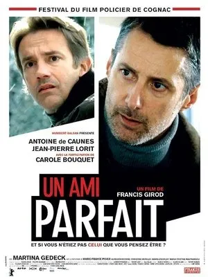 Affiche du film Un ami parfait