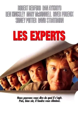 Affiche du film Les Experts