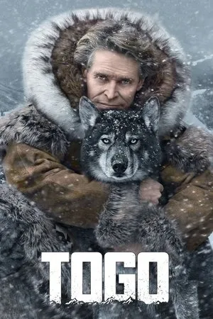 Affiche du film Togo