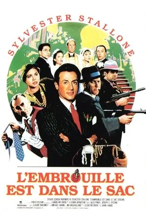 Affiche du film L'embrouille est dans le sac