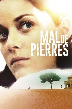 Affiche du film Mal de pierres