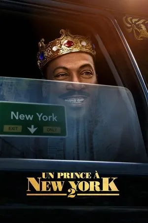 Affiche du film Un prince à New York 2