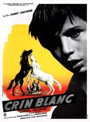 Affiche du film Crin blanc: Le cheval sauvage