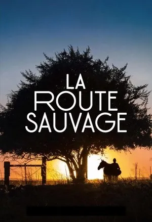 Affiche du film La Route sauvage