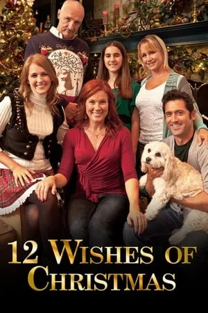Affiche du film Les Douze Voeux de Noël